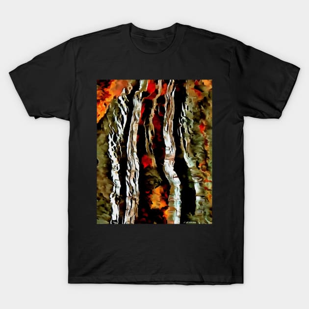 Stocksom Rock Specimen 4 T-Shirt by stocksomart